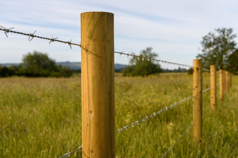 Barbed Wire Fence Replacement